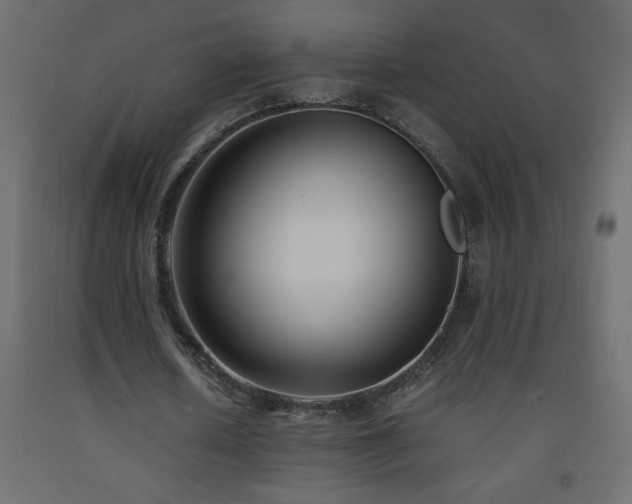 X0000093570626200710151128