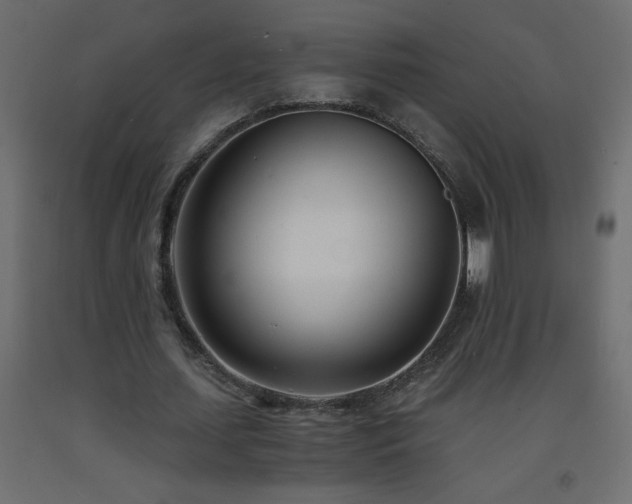 X0000093570627200710151128
