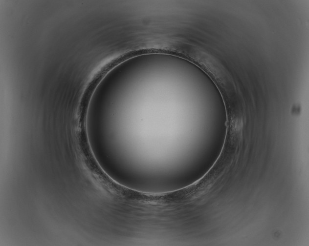 X0000093570628200710151128