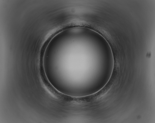 X0000093570630200710151128