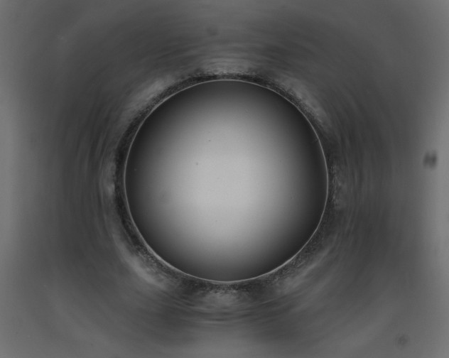 X0000093570631200710151128