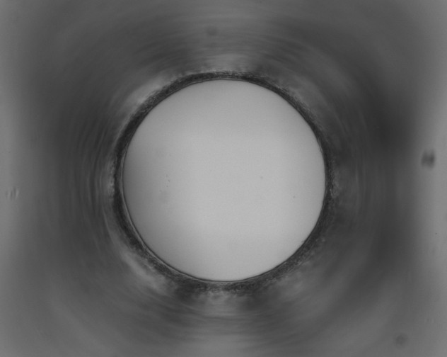 X0000093570632200710151128