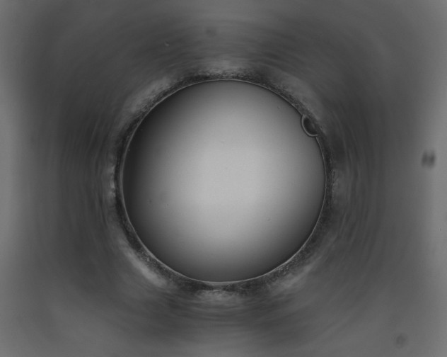 X0000093570633200710151128