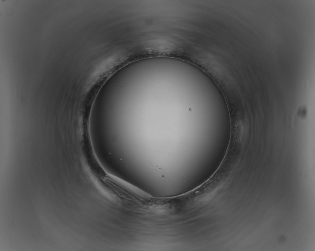 X0000093570638200710151128