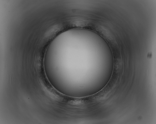 X0000093570639200710151128