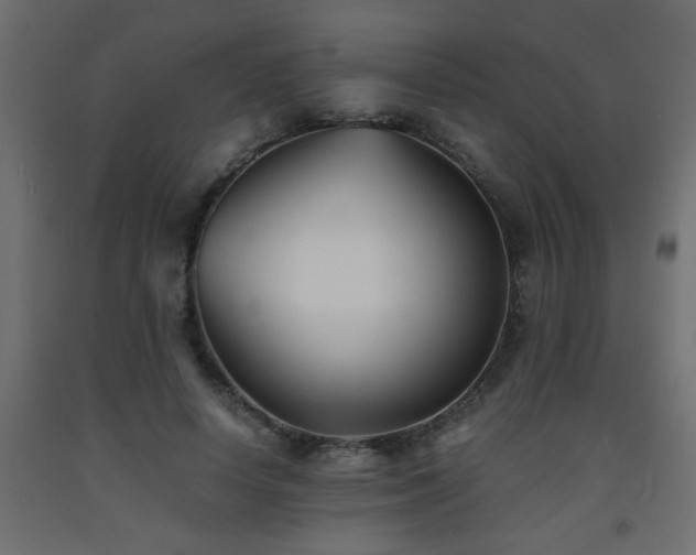 X0000093570642200710151128
