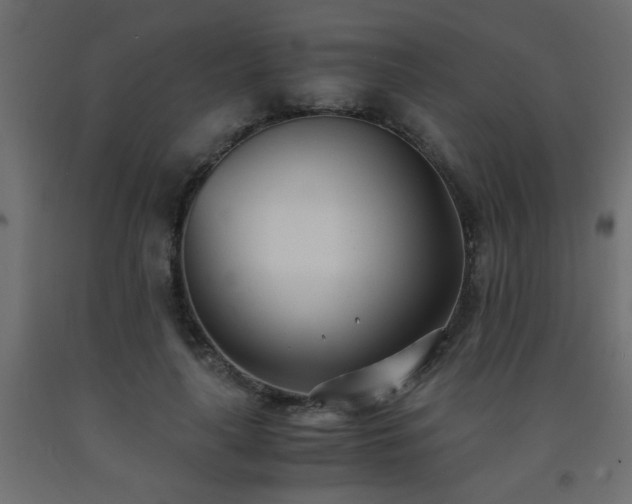 X0000093570643200710151128
