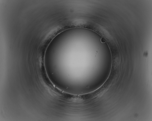 X0000093570644200710151128