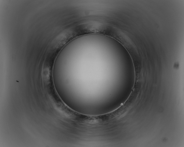 X0000093570646200710151128
