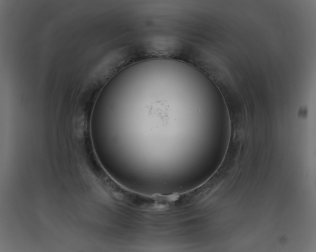 X0000093570647200710151128