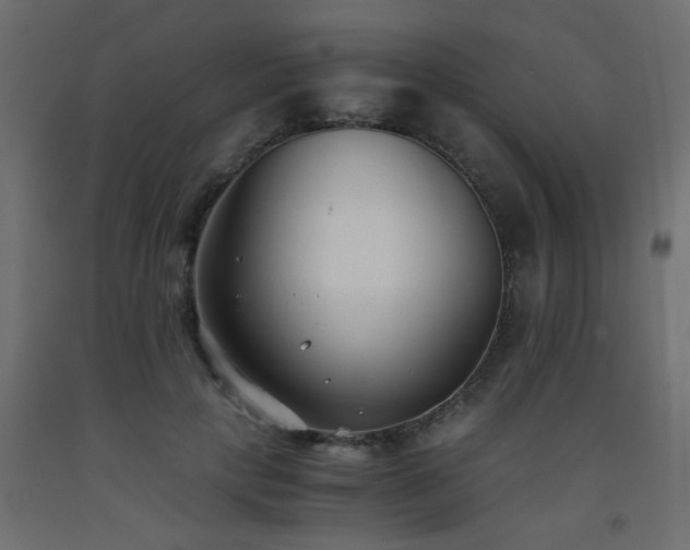 X0000093570649200710151128