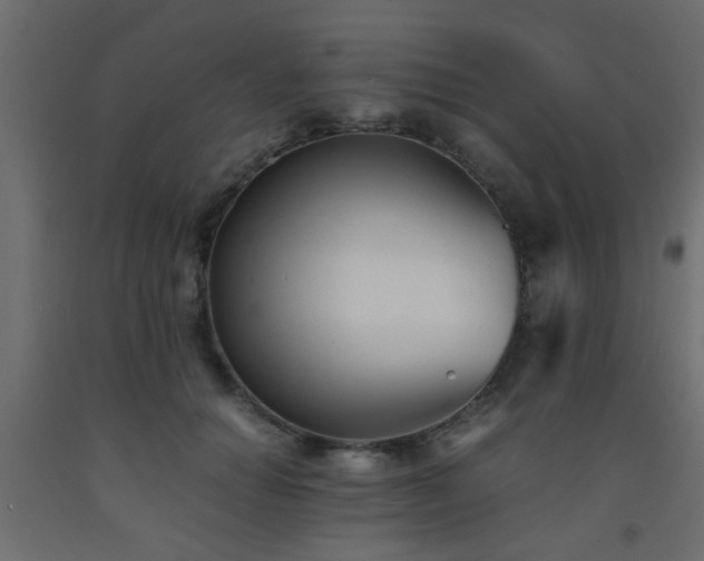X0000093570654200710151128