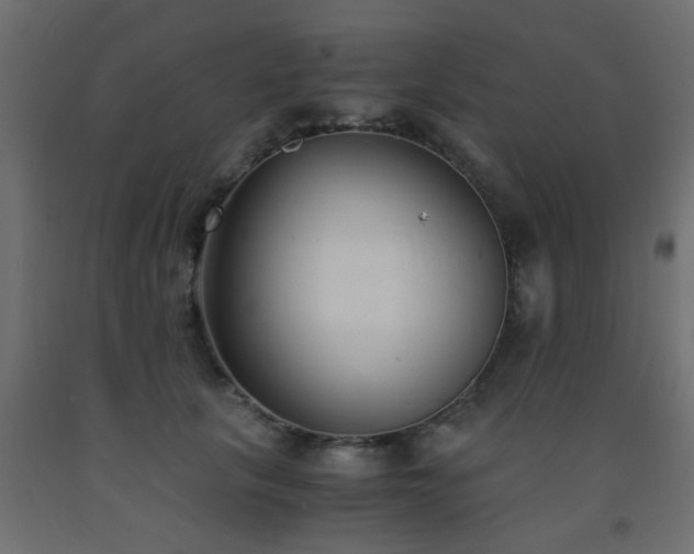 X0000093570657200710151128