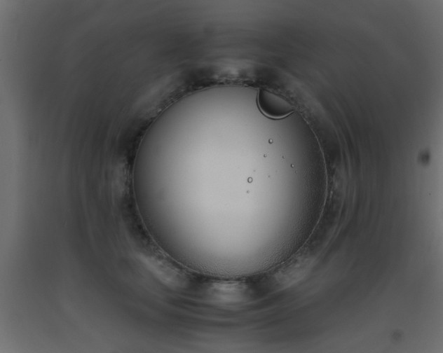 X0000093570659200710151128