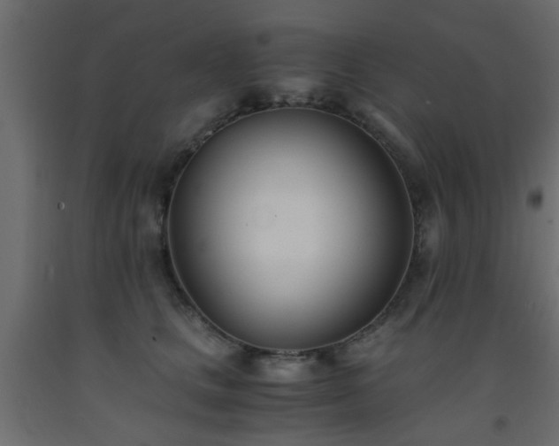 X0000093570661200710151128