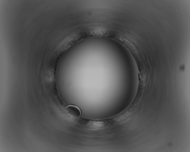 X0000093570665200710151129