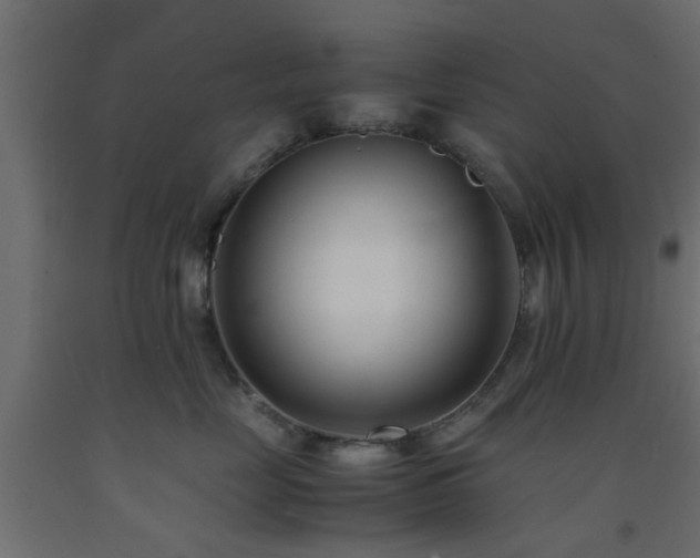 X0000093570669200710151129