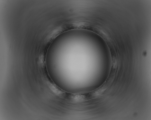X0000093570670200710151129