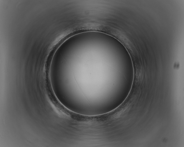 X0000093570674200710151128
