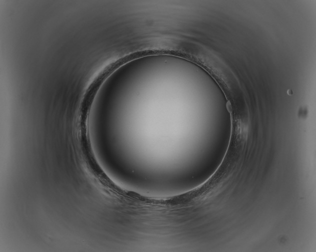 X0000093570676200710151128
