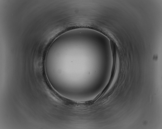 X0000093570677200710151128