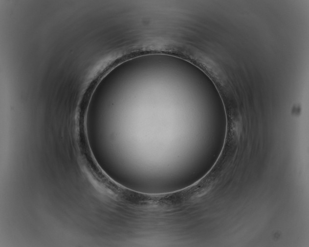 X0000093570678200710151128
