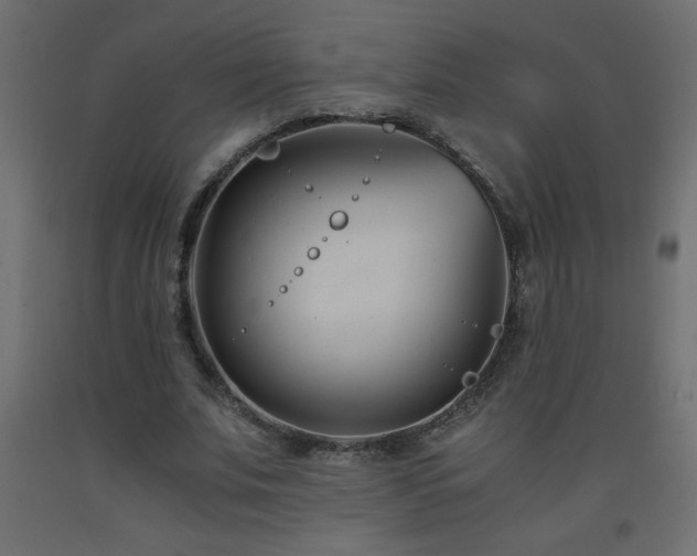 X0000093570679200710151128