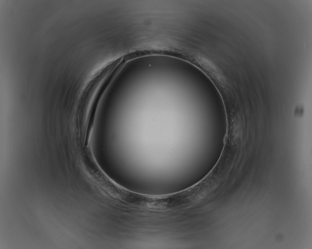 X0000093570680200710151128