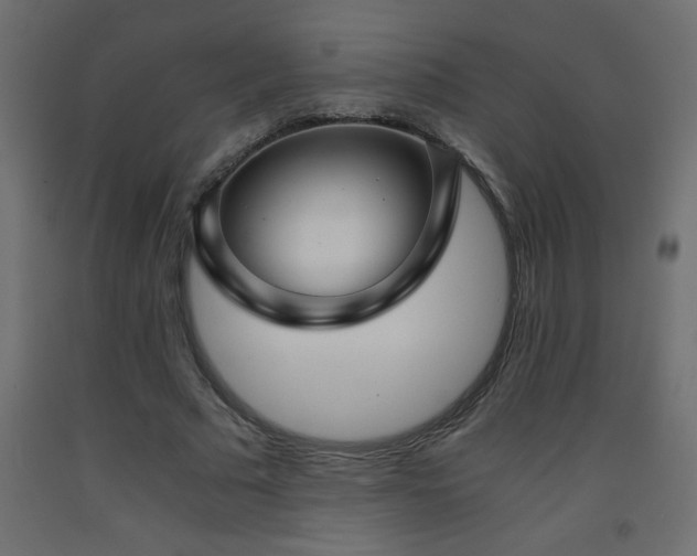X0000093570681200710151128