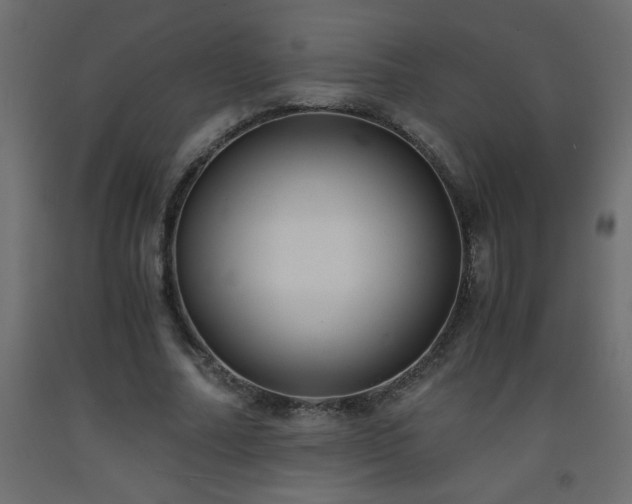 X0000093570682200710151128