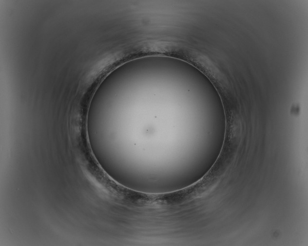 X0000093570683200710151128