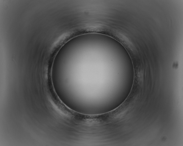 X0000093570686200710151128