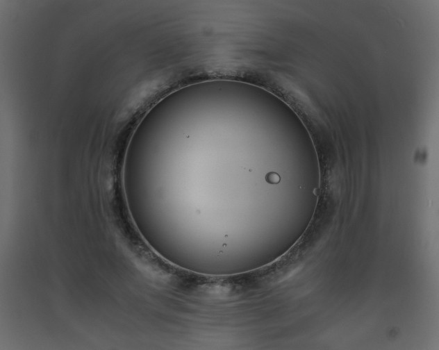X0000093570687200710151128