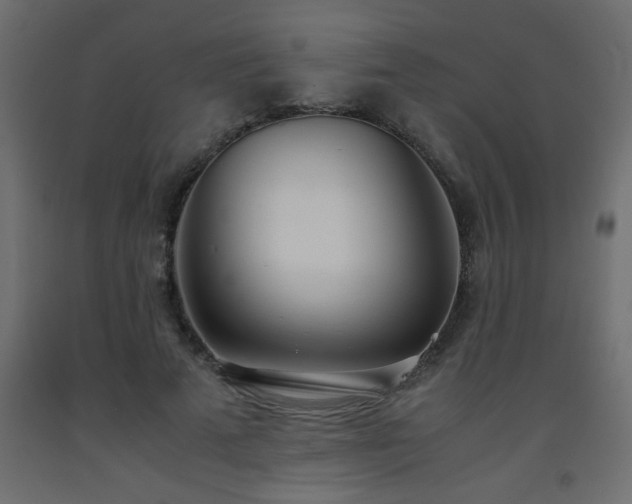 X0000093570689200710151128