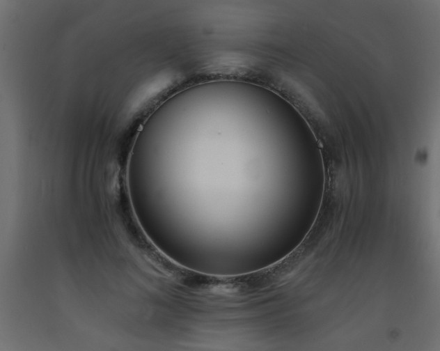 X0000093570692200710151128