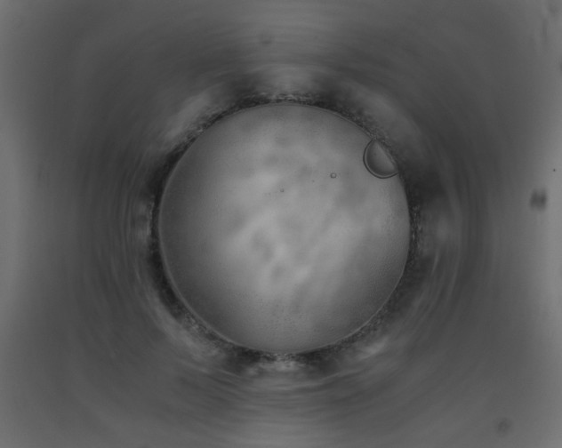 X0000093570695200710151128