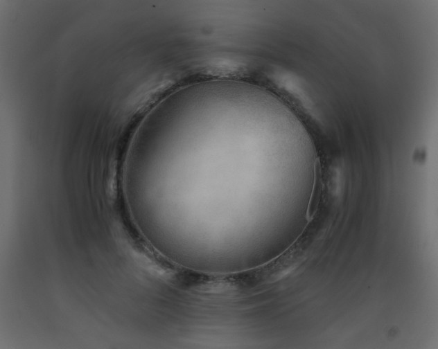X0000093570696200710151128
