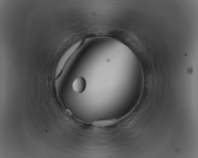 X0000093570697200710151128