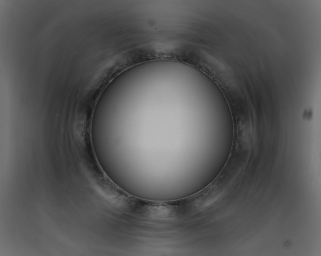 X0000093570698200710151128
