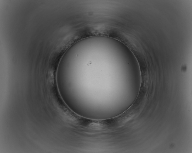 X0000093570699200710151128