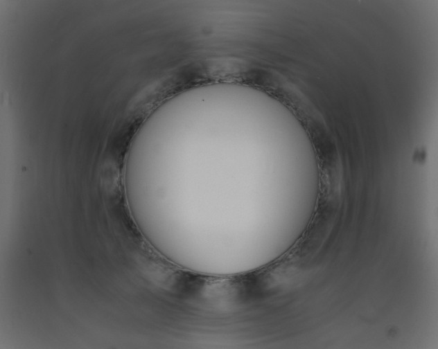 X0000093570705200710151128