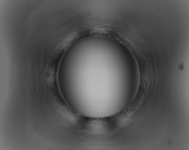 X0000093570708200710151128
