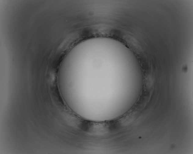 X0000093570709200710151128