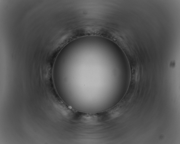 X0000093570712200710151128