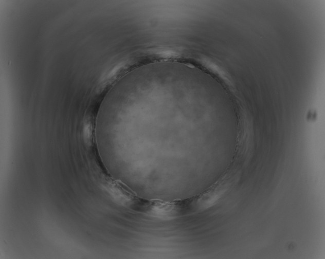 X0000093570720200710151127