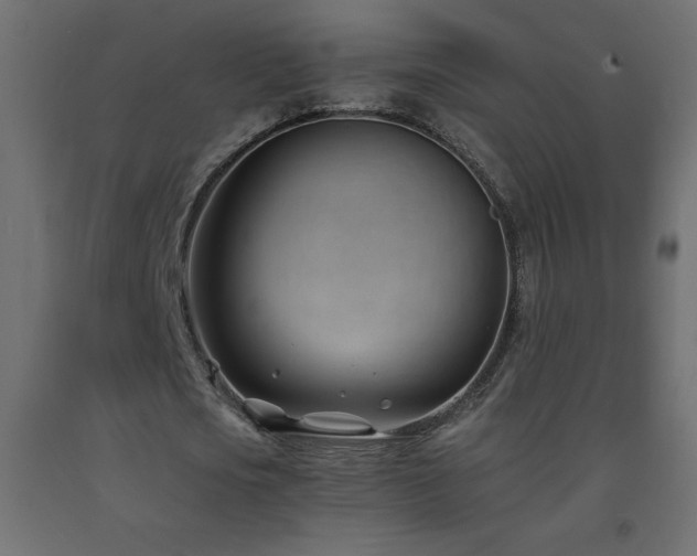 X0000093570721200710151127