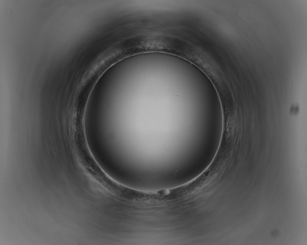 X0000093570722200710151127