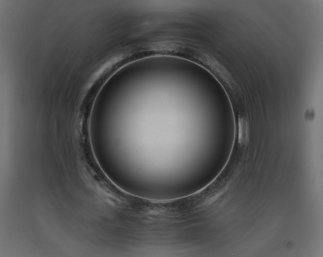 X0000093570723200710151127