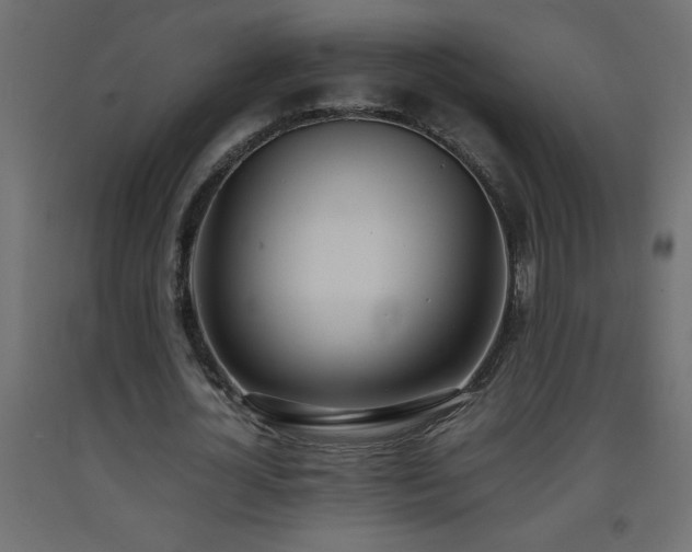 X0000093570724200710151127