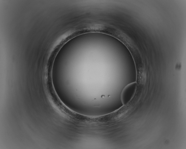 X0000093570726200710151127